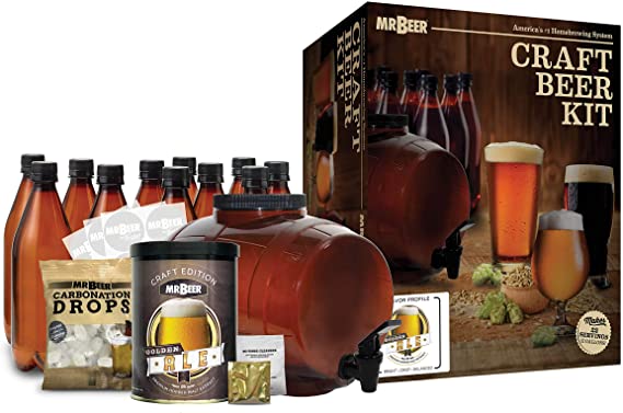 craft beer kit